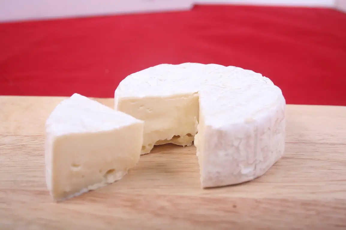 Queso brie