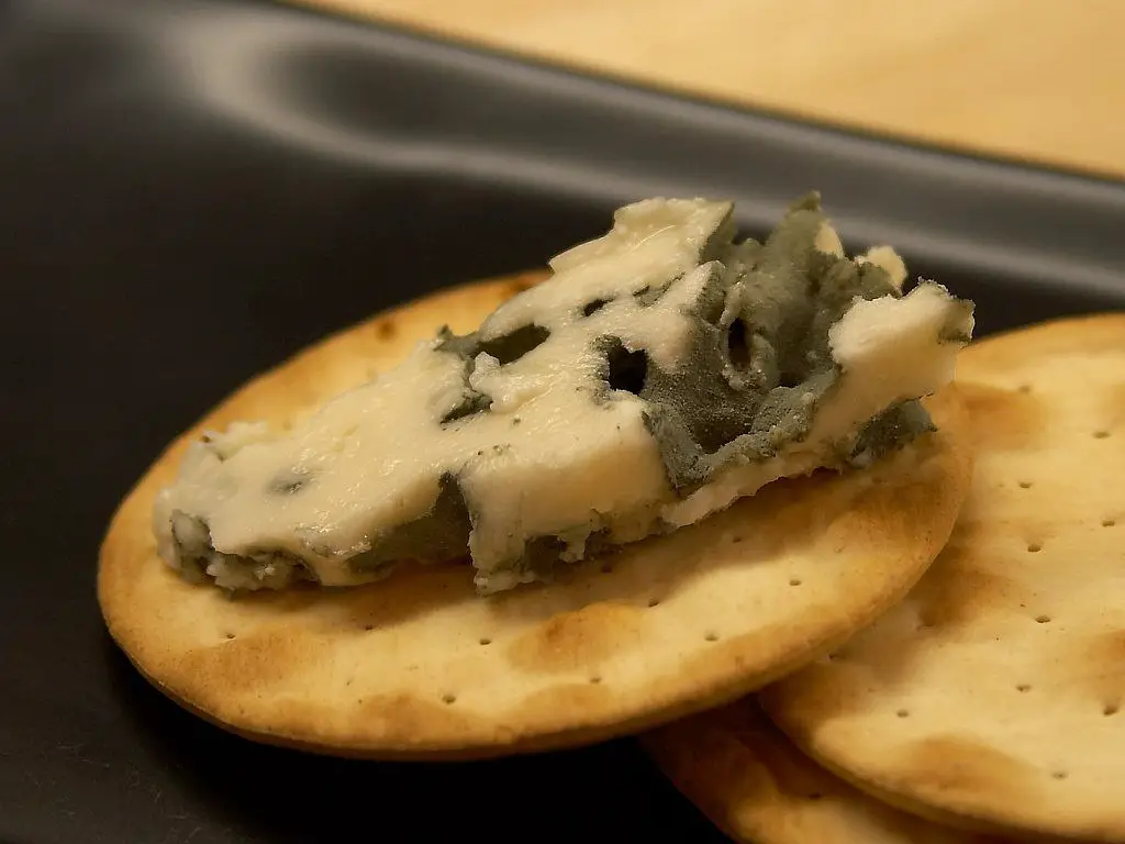 queso roquefort 