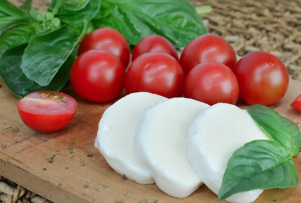 Mozzarella Fresca