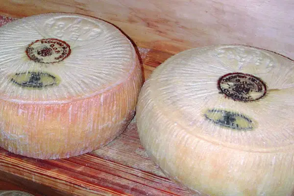 Pecorino Siciliano DOP.png