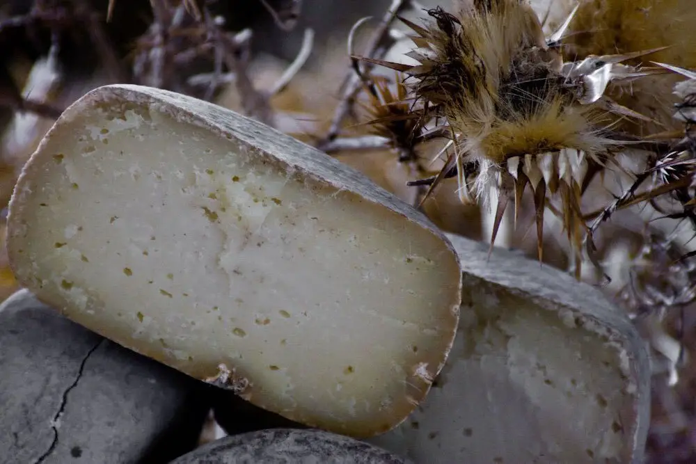 Pecorino delle Balze Volterrane DOP.jpg