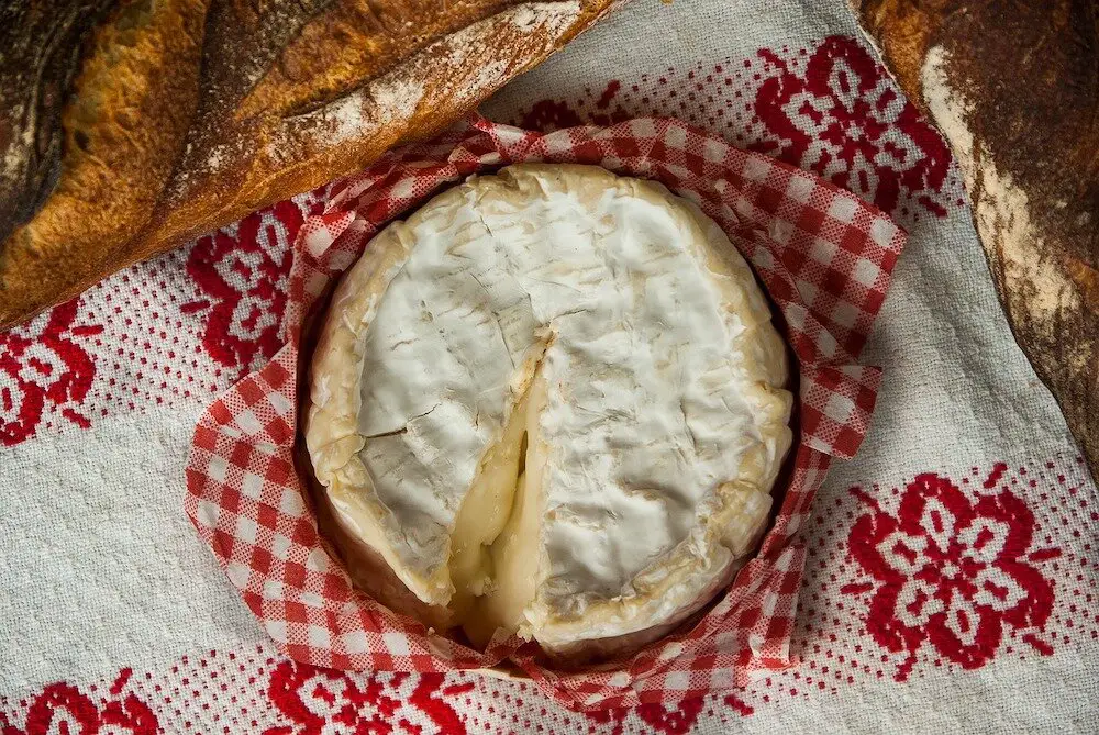 Camembert por Jacqueline Macou en Pixabay .jpg