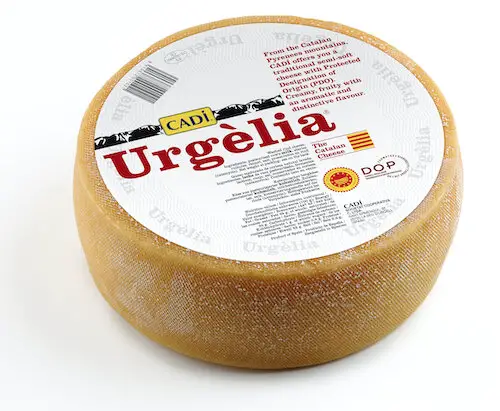 Rueda de Uegelia copia.jpg