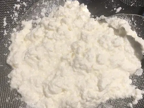 ricotta