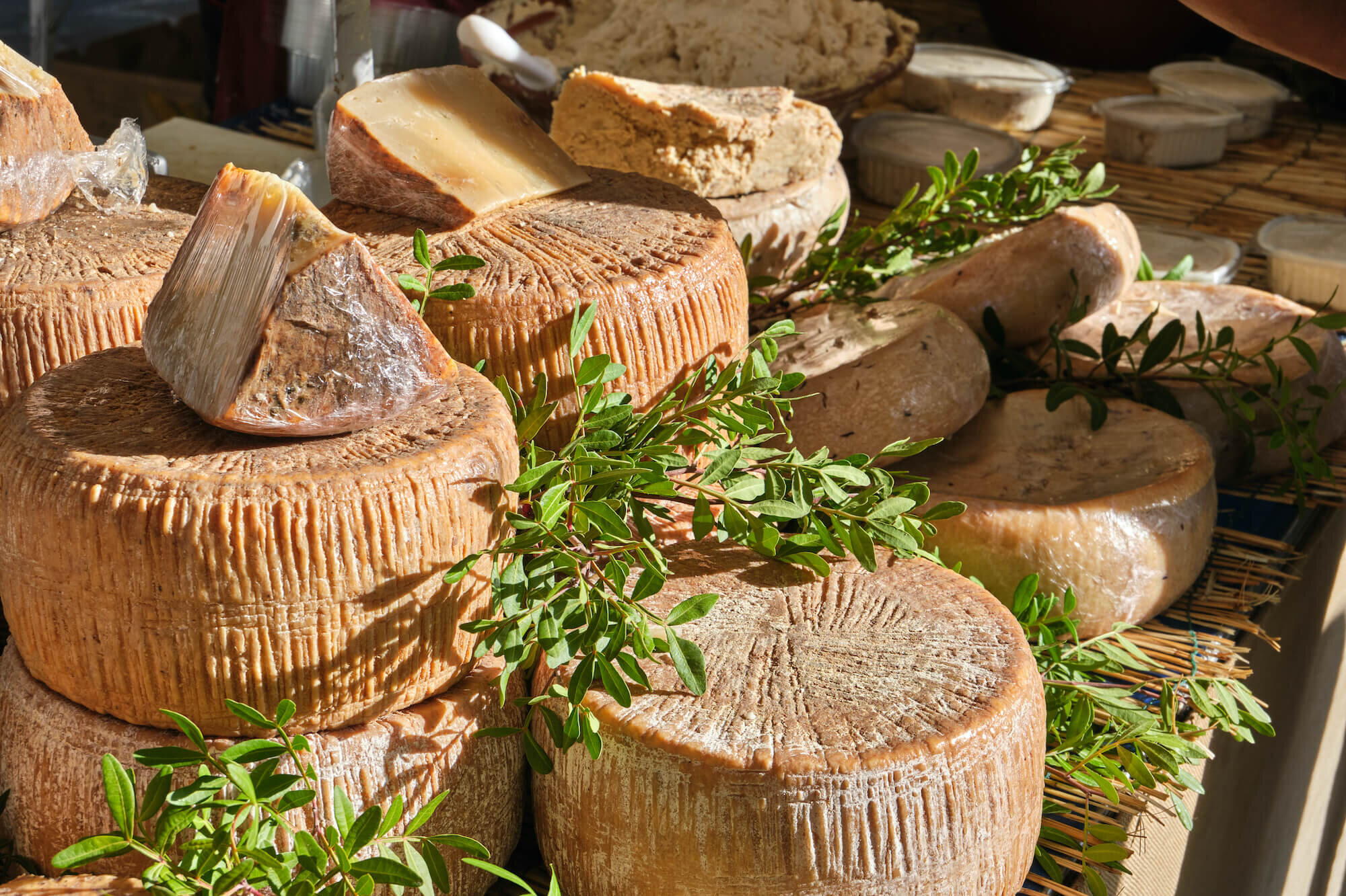 Queso casu marzu.jpg