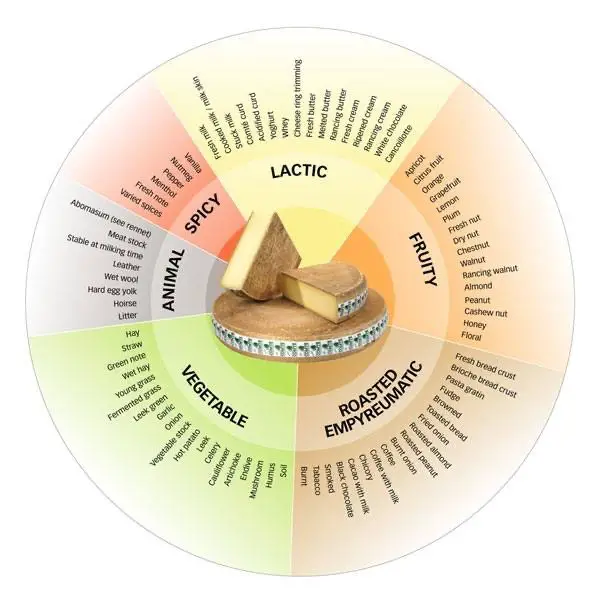 Rueda de sabores Comté