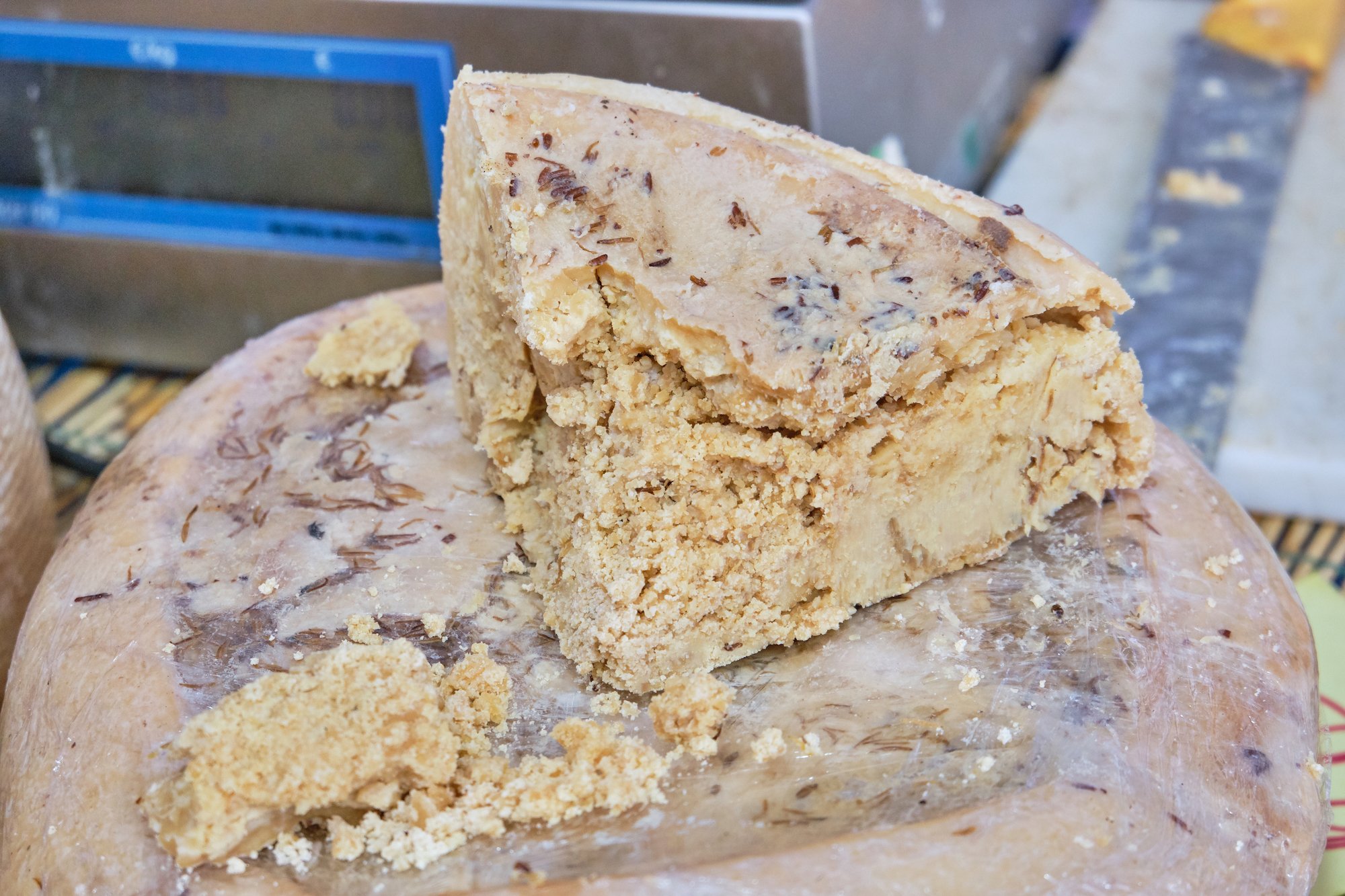 Casu Marzu listo para servir