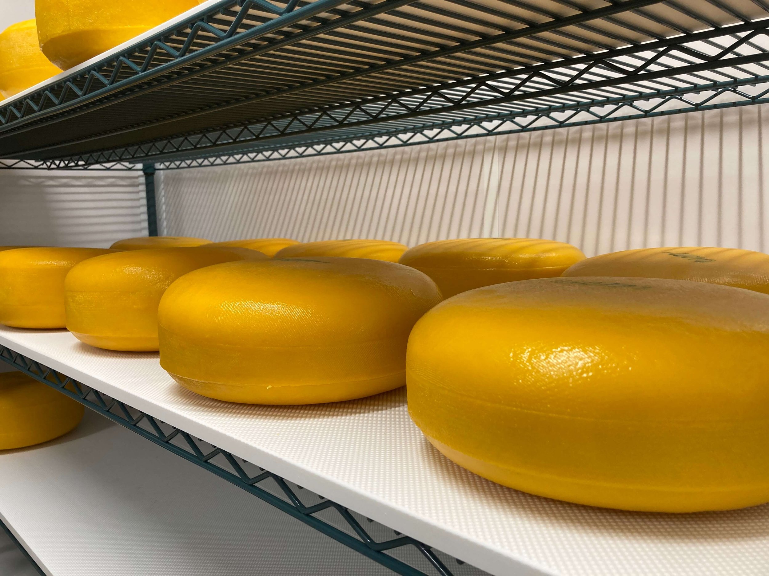 Envejecimiento de queso en Pleasant Lane Farms