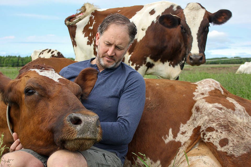 El granjero de Red Barn, Tim Busch, y su hermosa manada de Ayrshires