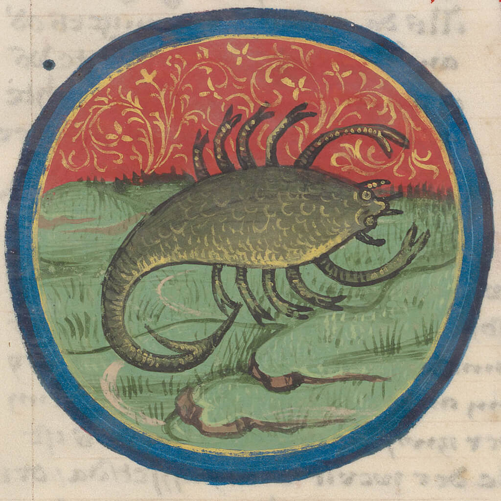 "Signo zodiacal de ESCORPIO en un manuscrito del siglo XV" de Virtual Manuscript Library of Switzerland tiene licencia bajo CC BY-NC 2.0
