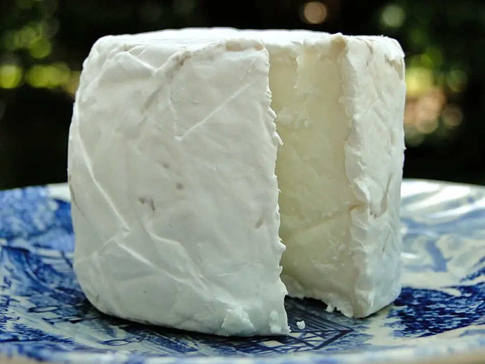 Queso de cabra