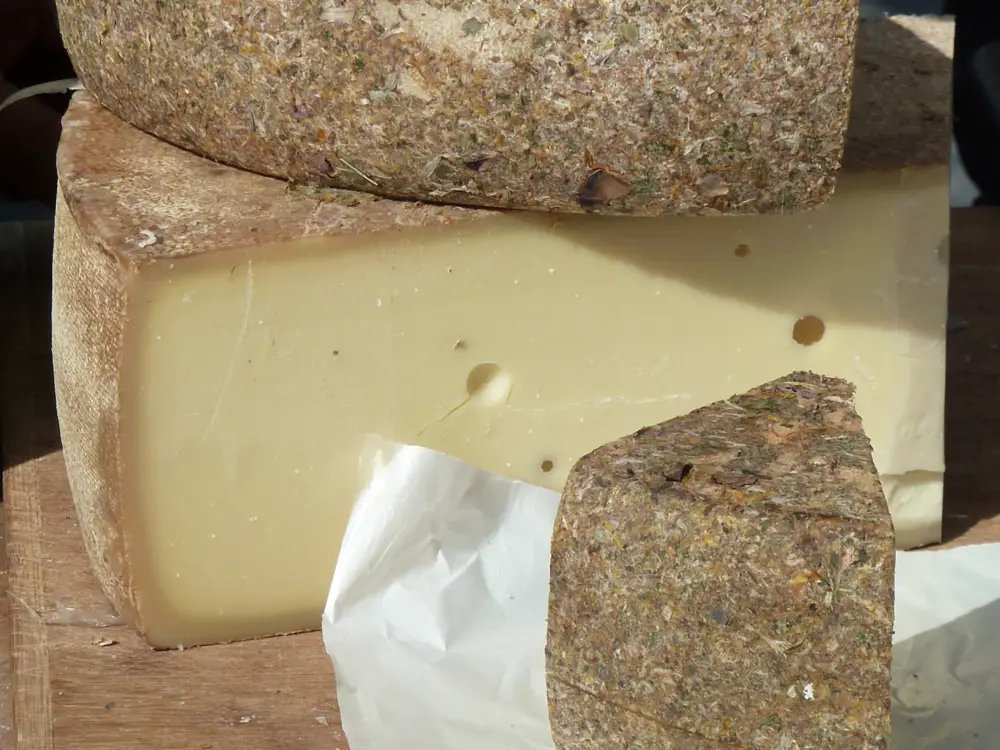 Fromage de Montagne de Saboya