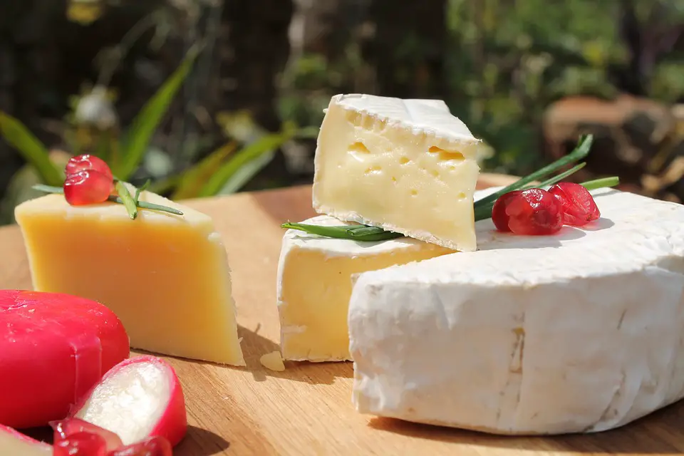 queso camembert