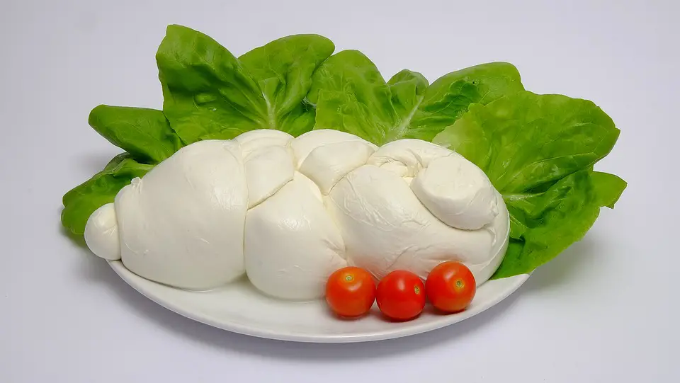 Mozzarella de búfala 