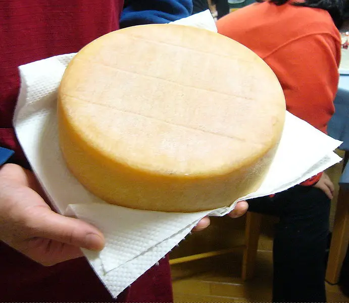 Queso de corteza lavada (australiano)