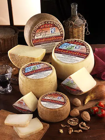 crotonés