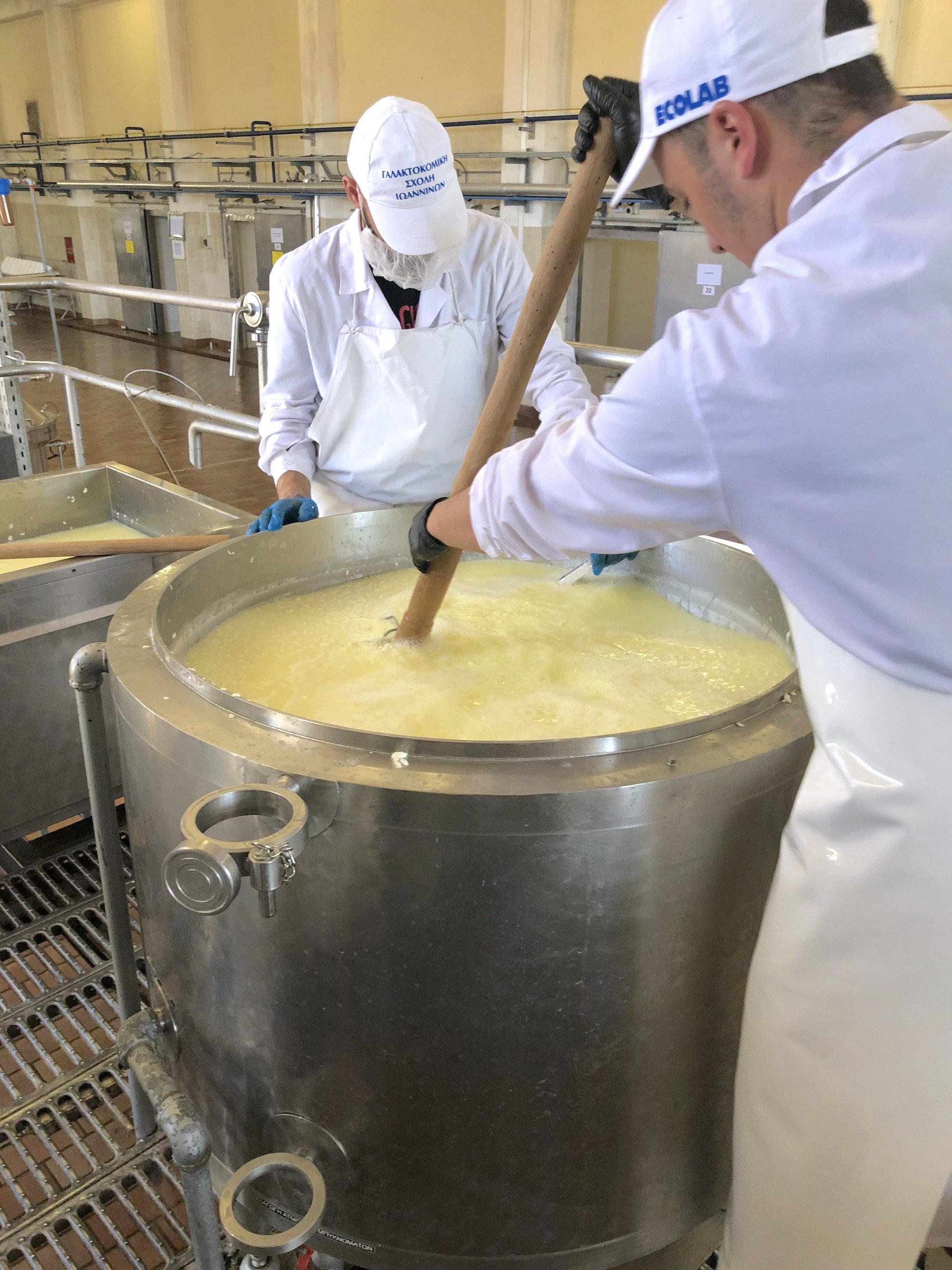 cuajada y suero en la elaboración de queso